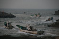 10月庭2 193.jpg