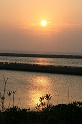 10月庭2 287.jpg