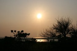 10月庭2 477.jpg
