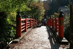 11月日修善寺 288.jpg