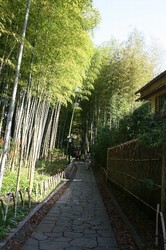 11月日修善寺 298.jpg