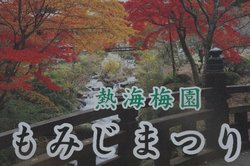 11月日熱海 071.jpg