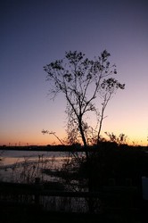 12月大池 006.jpg