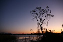 12月大池 007.jpg