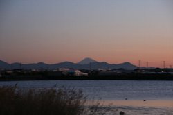 12月富士山 259.jpg