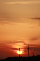 1月夕日 056.bmp