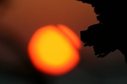 1月夕日 264.jpg
