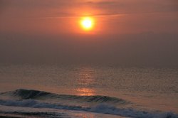 1月大池 358.jpg