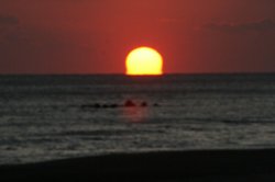 1月鮫島海岸の夕日 087.jpg