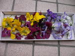 2009国際キルト展 405.jpg