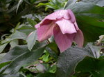 2009国際キルト展 511.jpg