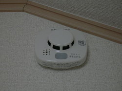 2009庭花 063.jpg