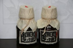 2月沖縄 025.jpg