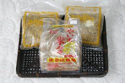 2月沖縄 049.jpg