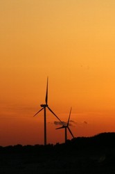 2月鮫島の夕日 172.jpg