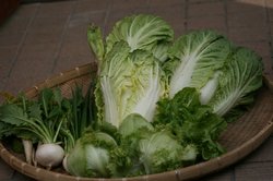 3月菜園 053.jpg