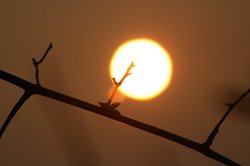 5月夕日 191.jpg