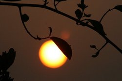 5月夕日 236.jpg