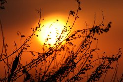 5月夕日 304.jpg