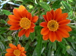 6月花磐田 カリグラフティ 141.jpg