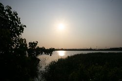 6月庭朝日 107.jpg