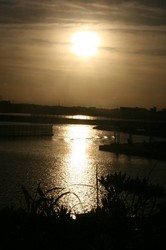 7月夕日 103.jpg