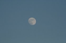 7月夕日 117.jpg