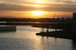 7月夕日 175.jpg