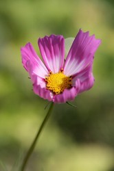8月4 016.jpg