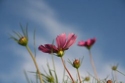 8月5 058.jpg