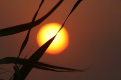 8月夕日 205.jpg