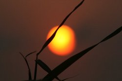 8月夕日 217.jpg