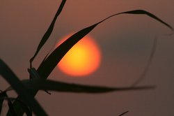 8月夕日 229.jpg