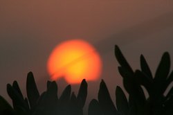 8月夕日 233.jpg