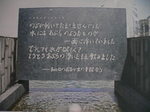 5月花長崎 045.jpg