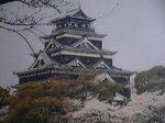 5月花長崎 352.jpg