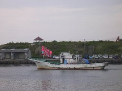 ェコパとシラス 029.jpg