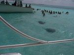 カリブ海クルーズ 203.jpg