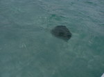 カリブ海クルーズ 208.jpg