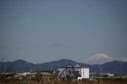 コスモス公民館まつり 014.jpg