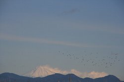 トールペイント 128.jpg