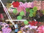 バンコク 2009 107.jpg