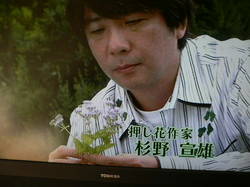 モザイカルチャー 023.jpg