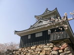 押し花展と浜松城、大沼池 188.jpg