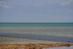 沖縄3日目 153.jpg