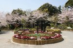 掛川城、花鳥園 046.jpg