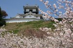 掛川城、花鳥園 082.jpg