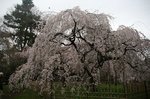 京都 109.jpg