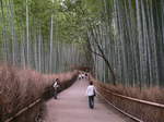 京都嵐山 017.jpg