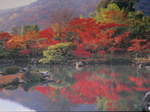 京都旅行〜金閣寺〜嵐山〜龍成寺〜清水寺 057.jpg